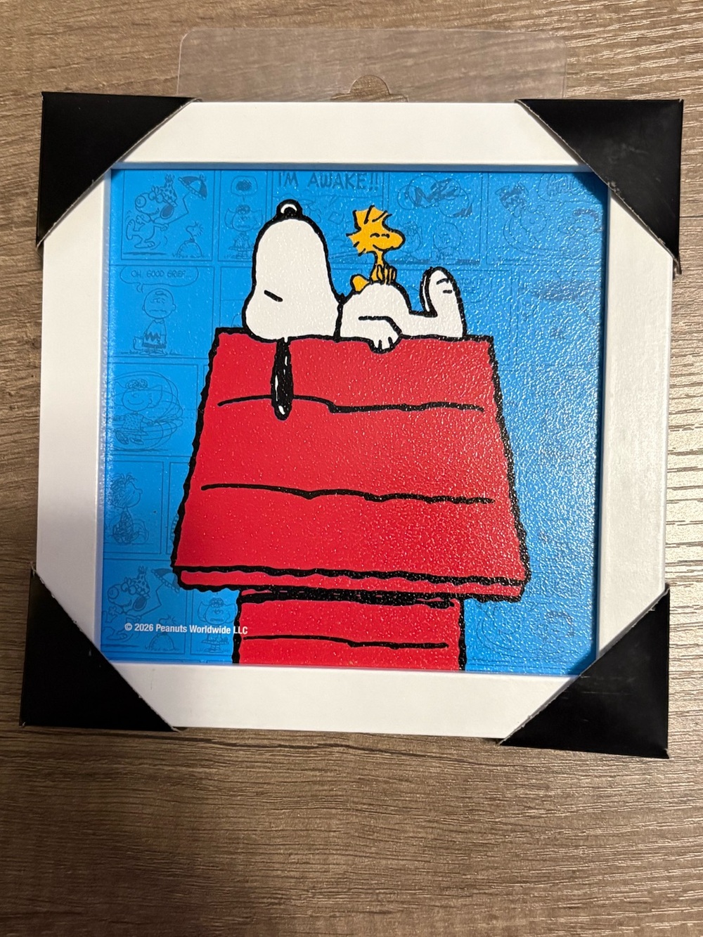 Peanuts Snoopy & Woodstock Red Doghouse Wall Art